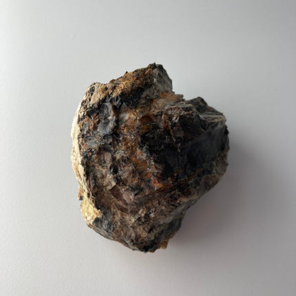 Large Piece of Petrified Wood from Turkey - My Shop of Wonders