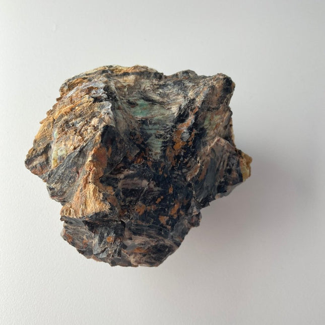 Large Piece of Petrified Wood from Turkey - My Shop of Wonders