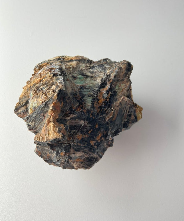 Large Piece of Petrified Wood from Turkey - My Shop of Wonders