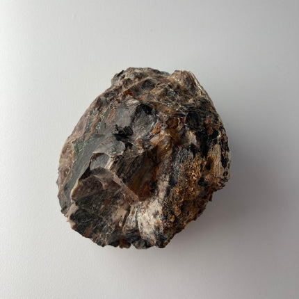 Large Piece of Petrified Wood from Turkey - My Shop of Wonders