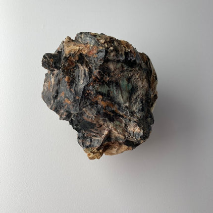 Large Piece of Petrified Wood from Turkey - My Shop of Wonders