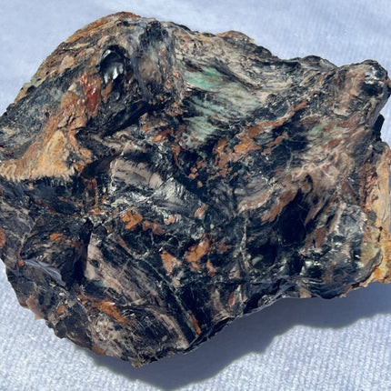 Large Piece of Petrified Wood from Turkey - My Shop of Wonders