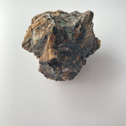 Large Piece of Petrified Wood from Turkey - My Shop of Wonders