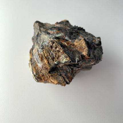 Large Piece of Petrified Wood from Turkey - My Shop of Wonders