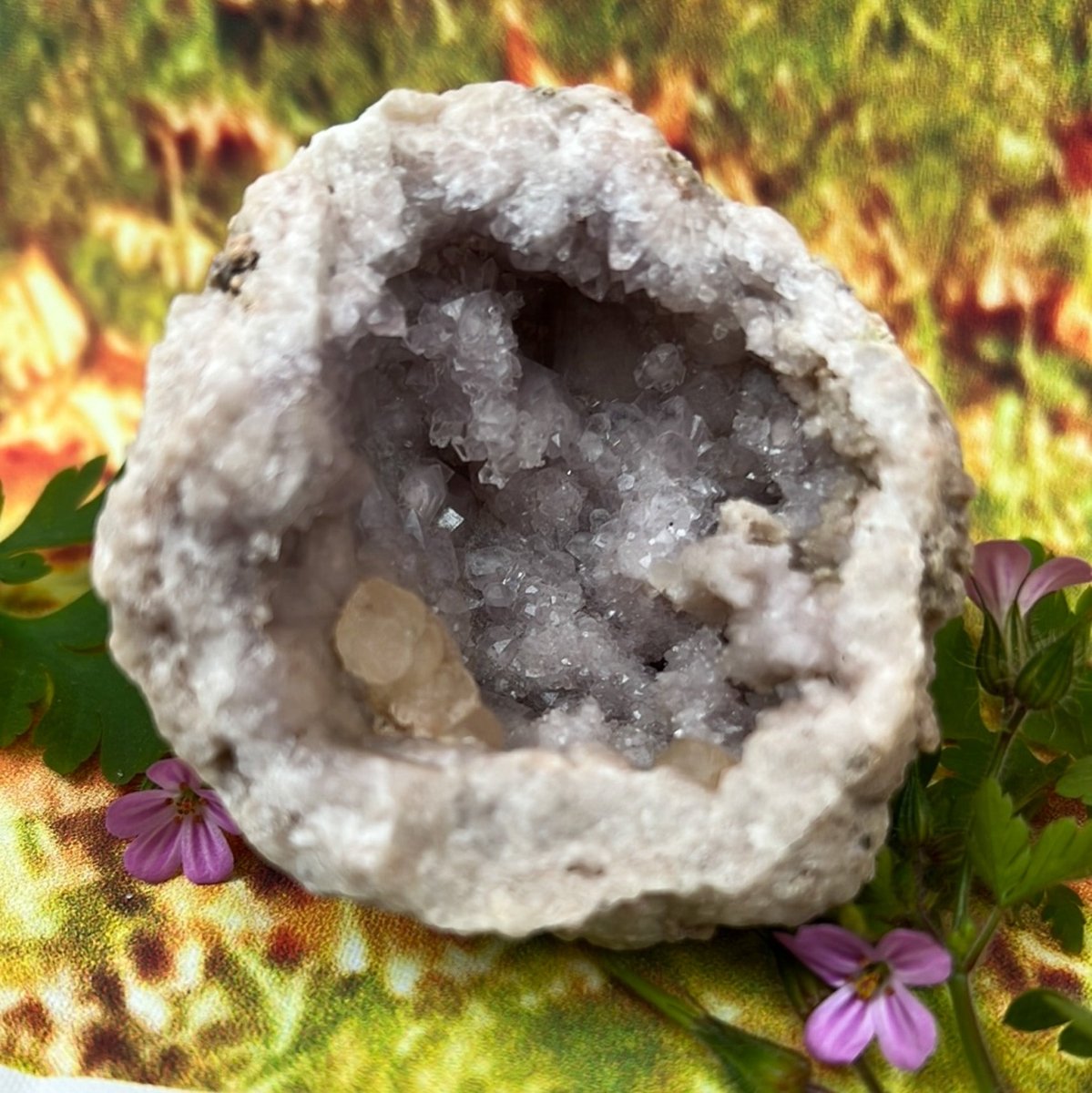 Lavender Amethyst Geode Crystal: Nature's Tranquil Allure - My Shop of Wonders