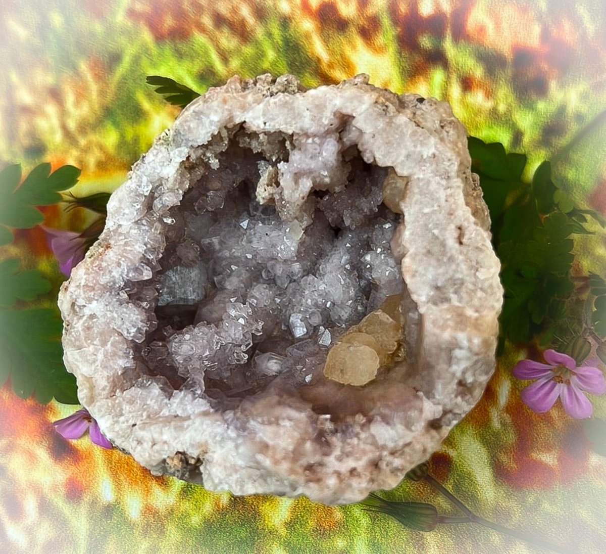 Lavender Amethyst Geode Crystal: Nature's Tranquil Allure - My Shop of Wonders