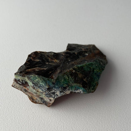Piece of Petrified Wood with Chrysocolla - My Shop of Wonders