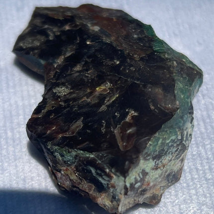 Piece of Petrified Wood with Chrysocolla - My Shop of Wonders