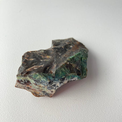 Piece of Petrified Wood with Chrysocolla - My Shop of Wonders