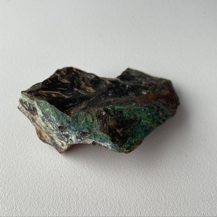 Piece of Petrified Wood with Chrysocolla - My Shop of Wonders