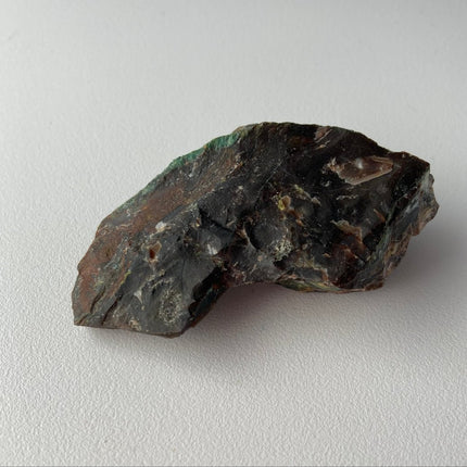 Piece of Petrified Wood with Chrysocolla - My Shop of Wonders