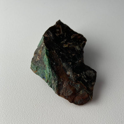 Piece of Petrified Wood with Chrysocolla - My Shop of Wonders