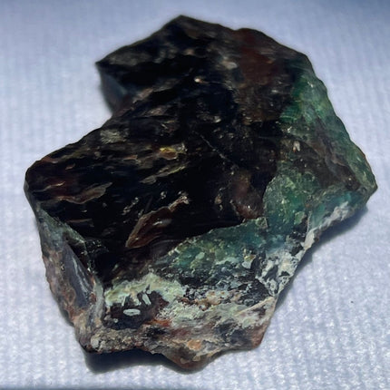 Piece of Petrified Wood with Chrysocolla - My Shop of Wonders