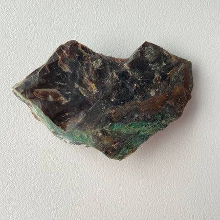 Piece of Petrified Wood with Chrysocolla - My Shop of Wonders