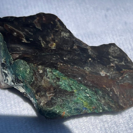 Piece of Petrified Wood with Chrysocolla - My Shop of Wonders