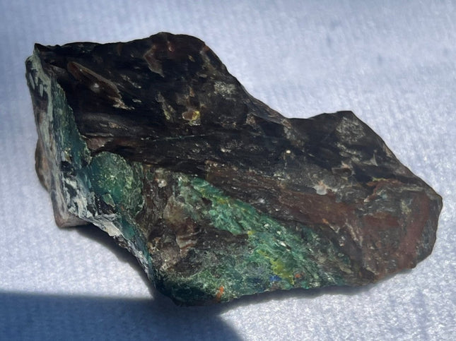 Piece of Petrified Wood with Chrysocolla - My Shop of Wonders