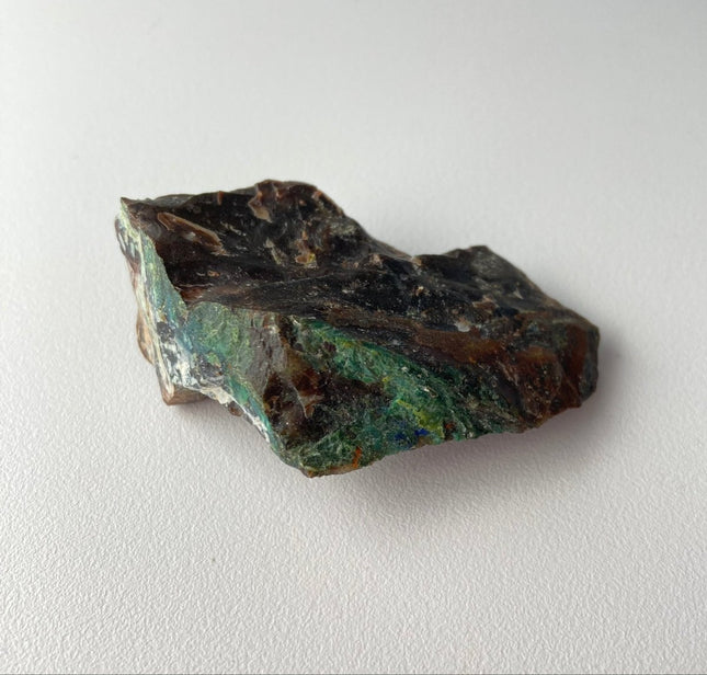 Piece of Petrified Wood with Chrysocolla - My Shop of Wonders