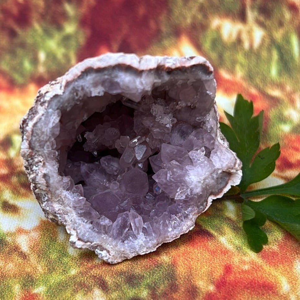 Precious Amethyst: Geo Rocks with Crystals Magic - My Shop of Wonders