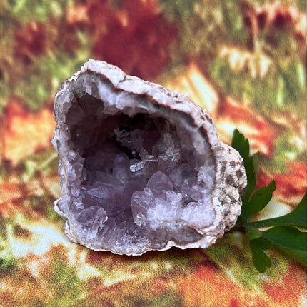 Precious Amethyst: Geo Rocks with Crystals Magic - My Shop of Wonders