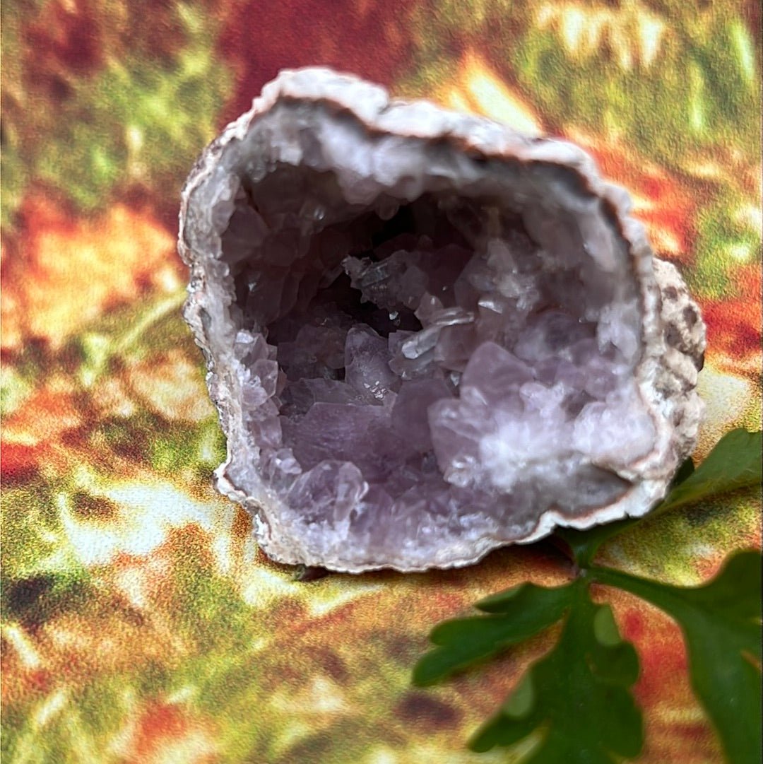 Precious Amethyst: Geo Rocks with Crystals Magic - My Shop of Wonders