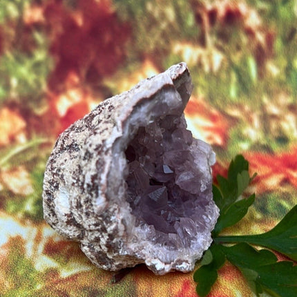 Precious Amethyst: Geo Rocks with Crystals Magic - My Shop of Wonders