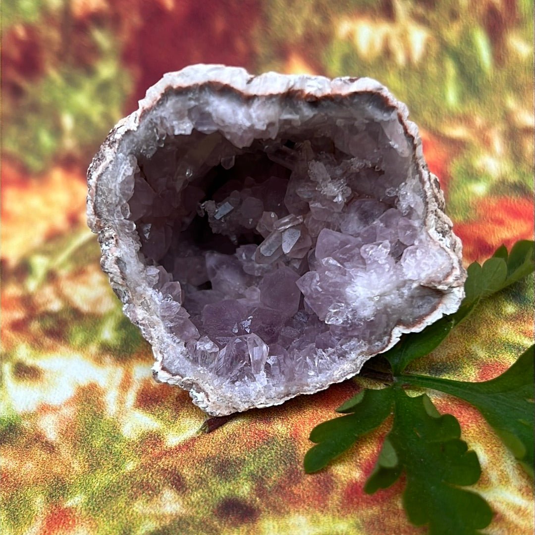 Precious Amethyst: Geo Rocks with Crystals Magic - My Shop of Wonders