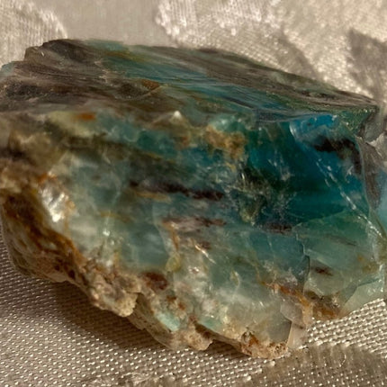 Rare Turkish Petrified Colla Wood - My Shop of Wonders