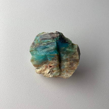 Rare Turkish Petrified Colla Wood - My Shop of Wonders