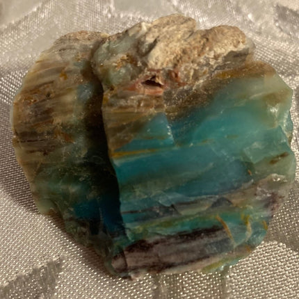Rare Turkish Petrified Colla Wood - My Shop of Wonders
