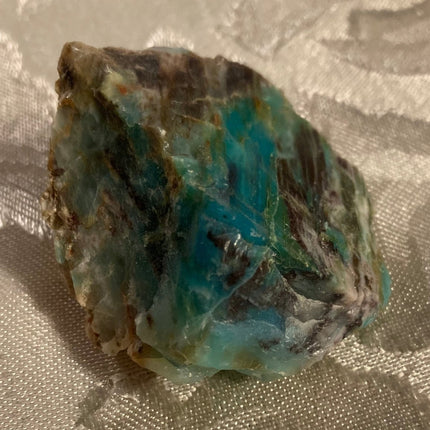 Rare Turkish Petrified Colla Wood - My Shop of Wonders