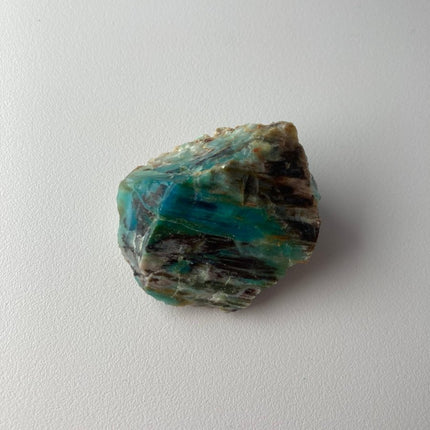 Rare Turkish Petrified Colla Wood - My Shop of Wonders