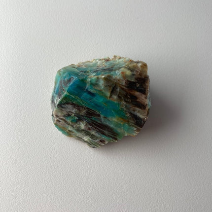 Rare Turkish Petrified Colla Wood - My Shop of Wonders