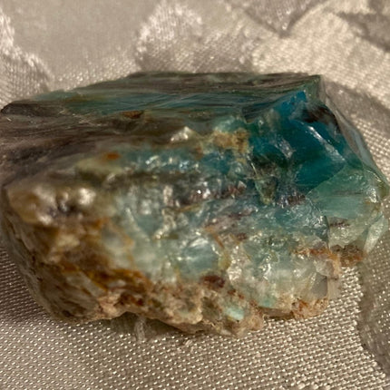 Rare Turkish Petrified Colla Wood - My Shop of Wonders