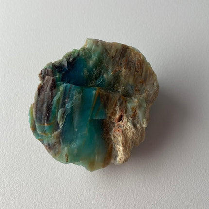 Rare Turkish Petrified Colla Wood - My Shop of Wonders