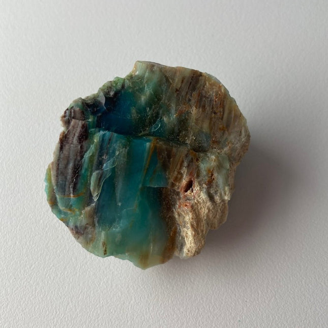 Rare Turkish Petrified Colla Wood - My Shop of Wonders