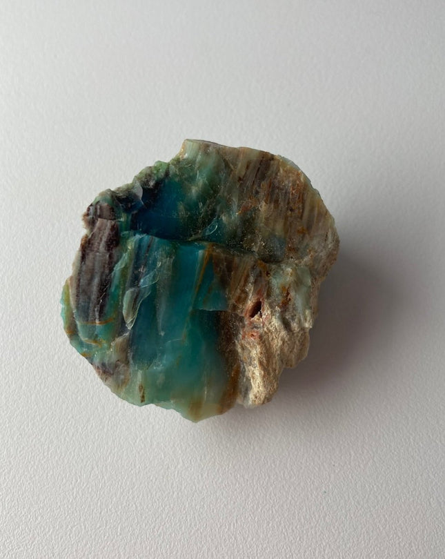 Rare Turkish Petrified Colla Wood - My Shop of Wonders