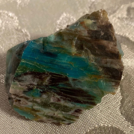 Rare Turkish Petrified Colla Wood - My Shop of Wonders