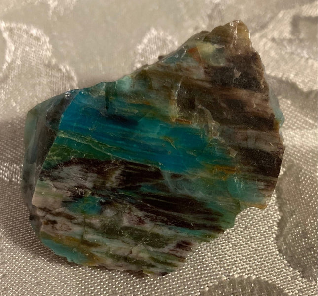 Rare Turkish Petrified Colla Wood - My Shop of Wonders