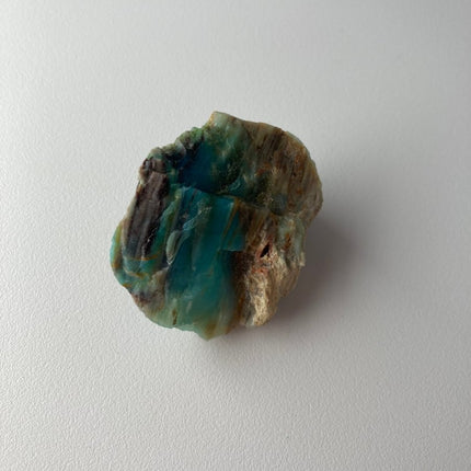 Rare Turkish Petrified Colla Wood - My Shop of Wonders