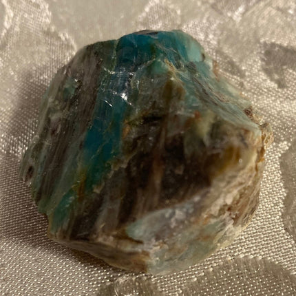 Rare Turkish Petrified Colla Wood - My Shop of Wonders