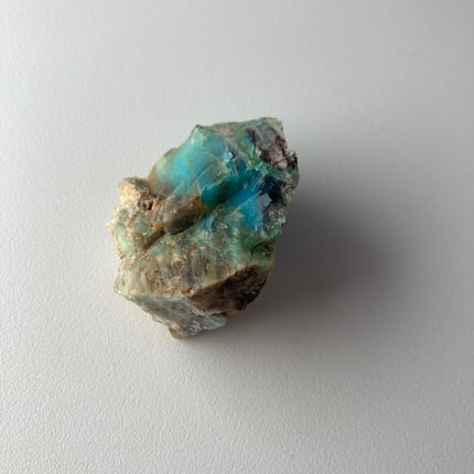 Rare Turkish Petrified Colla Wood - My Shop of Wonders