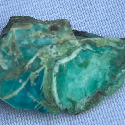 Raw Petrified Wood for Sale from Turkey - My Shop of Wonders