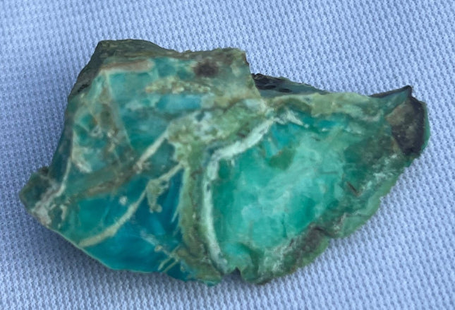 Raw Petrified Wood for Sale from Turkey - My Shop of Wonders