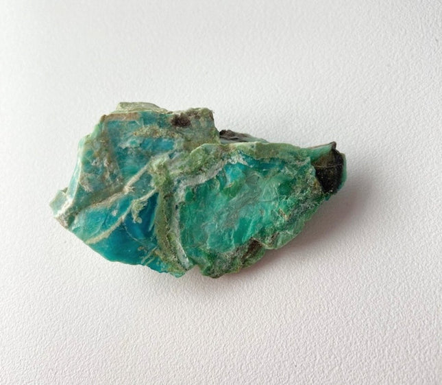 Raw Petrified Wood for Sale from Turkey - My Shop of Wonders