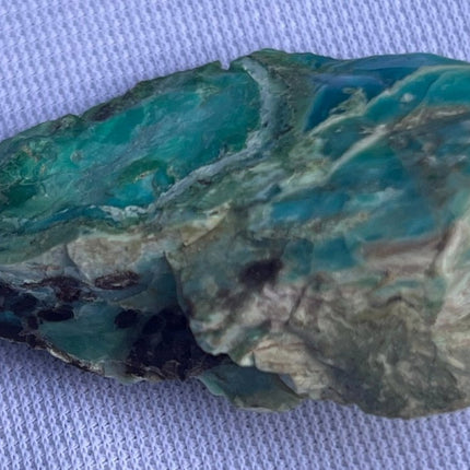 Raw Petrified Wood for Sale from Turkey - My Shop of Wonders