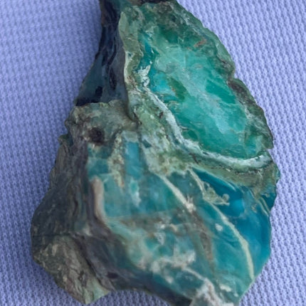 Raw Petrified Wood for Sale from Turkey - My Shop of Wonders