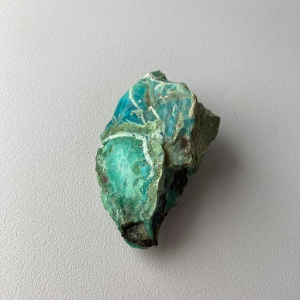 Raw Petrified Wood for Sale from Turkey - My Shop of Wonders