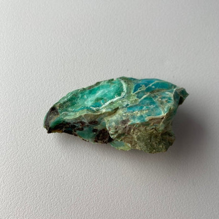 Raw Petrified Wood for Sale from Turkey - My Shop of Wonders