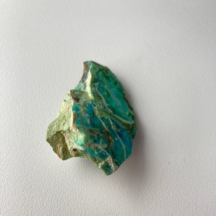 Raw Petrified Wood for Sale from Turkey - My Shop of Wonders