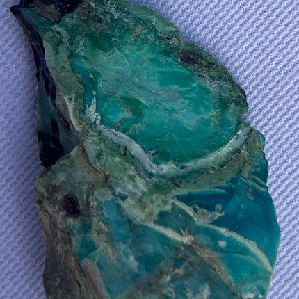 Raw Petrified Wood for Sale from Turkey - My Shop of Wonders